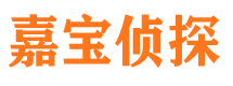 大关市侦探公司